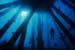 2aLeonG_01-10-09
