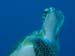 4bDarleneD_01-10-09